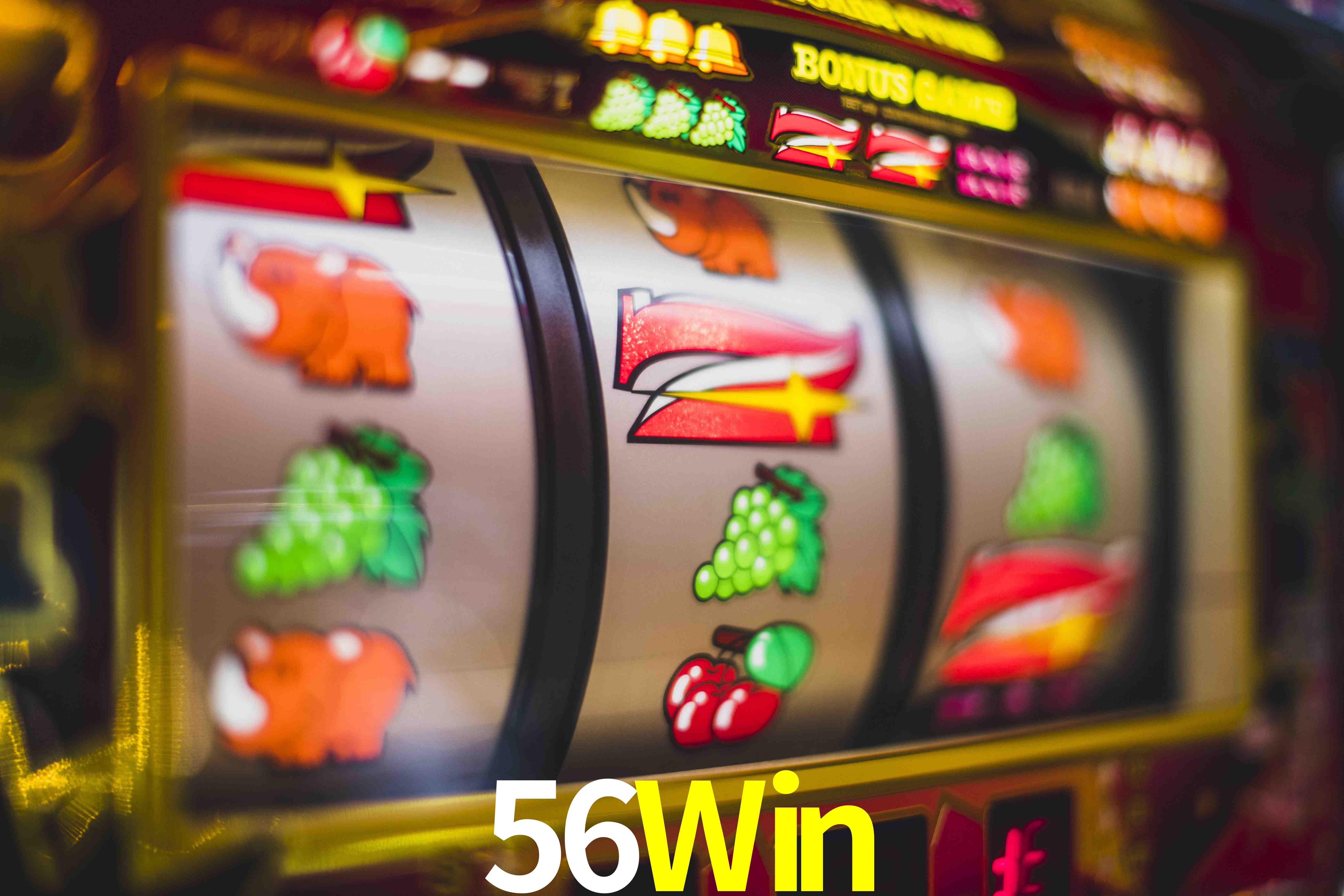 Sports Statistics 56Win